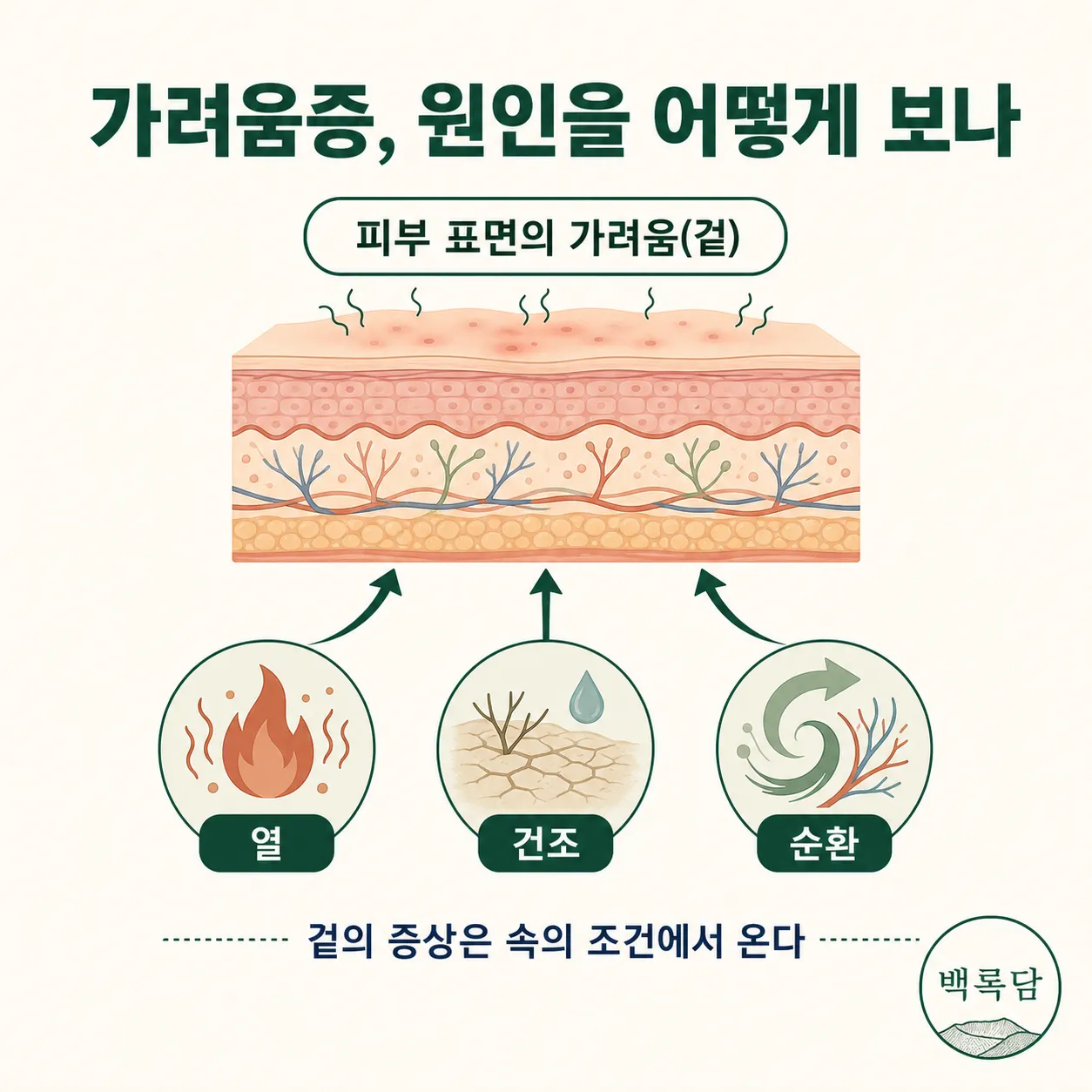 가려움증의 겉 증상과 몸속 조건(피부 방어력·열·순환)을 연결한 한의학 관점 개념도